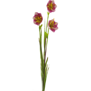 Cora bell spray pink/green 79 cm kunstbloem