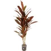 Dracaena rood 150 cm kunstplant Oosterik Home