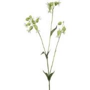 Silene spray white/green 80 cm Emerald