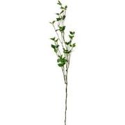 Clayre & Eef Kunstplant 116 cm Groen Kunststof