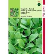 2 stuks - Raapstelen Groene