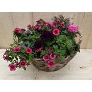 Rieten mand zomerbloeiers roze dia. 30 cm