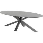Xander Tuintafel Ovaal Antraciet