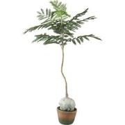 PTMD Kunstplant Jacaranda - 43x45x99 cm - Polyester - Groen