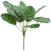 Maranta leaf spray Taco green 43 cm kunstbloem