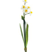 Narcissus Crailo spray cream/yellow 50 cm kunstbloem