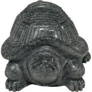 Eco deco tortoise Superfish