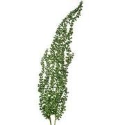 Clayre & Eef Kunstplant 77 cm Groen Kunststof