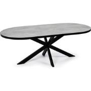 Stalux Plat ovale eettafel 'Noud' 210 x 100, kleur zwart / beton