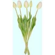 URBANJNGL - Tulpen boeket - 5 stuks - Verschillende kleuren - 'Real To...