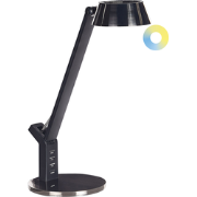 Beliani CHAMAELEON - Bureaulamp-Messing-Staal, IJzer
