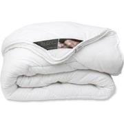 Ten Cate Dekbed - Dekbed 240x200 - Dekbedden - 4 Seizoenen Dekbed 240 ...