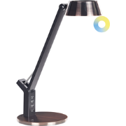 Beliani CHAMAELEON - Bureaulamp-Koper-Staal, IJzer
