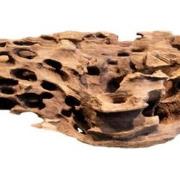 Honeycomb wood x large