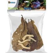 Biotope set betta Superfish
