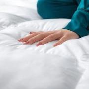 Lanotte® - Dekbed 15%/85% Dons-Veren - 240x220 cm