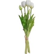 Boeket 5 Tulpen Wit