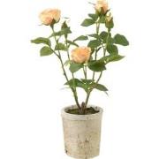 J-Line - Roos 5 Koppen In Pot Plastiek/textiel Geel/groen - 20x20x38cm