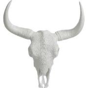 J-Line - Schedel Hangend Ibiza Polyresin Wit - 15x42x45cm