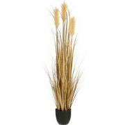 Mica Decorations Kunstplant Plume grass - 30x30x120 cm - PVC - Goud