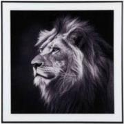 Wanddecoratie Lion - Zwart - 2x50x50cm