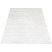 Vloerkleed Nica 1606 - 80 x 150 cm