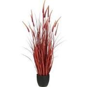 Mica Decorations Kunstplant Dogtail grass - 30x30x120 cm - PVC - Donke...