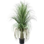 PTMD Kunstboom Coconut - 74x70x101 cm - Polyester - Groen