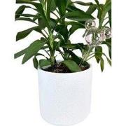 Plant Reservoir Mickey ears glass pink