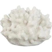 PTMD Lamp Graeme - 13x12x9 cm - Polyester - Wit