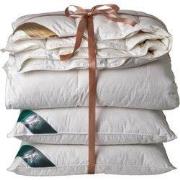 Ten Cate 90% Ganzendonzen 4 seizoenen dekbed 260x220 + 2 eendenveren h...