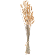 SANABRIA - Droogbloemen boeket - Natuurlijk  - Droogbloemen