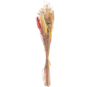 PAMPELUNA - Droogbloemen boeket - Natuurlijk  - Droogbloemen