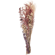 ARABA - Droogbloemen boeket - Natuurlijk  - Droogbloemen