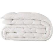 Dekbed Koraalvlies - Douce Nuit - Zydante Swisstech - 240x200 cm