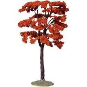 Yellowwood tree large