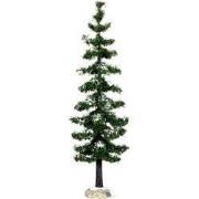 Blue spruce tree, large