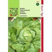 2 stuks - Kropsla Gaardenier Zeer Laatschietend