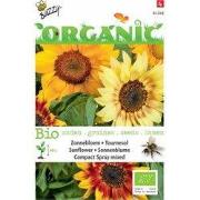 5 stuks - Organic Helianthus dwarf Spray gemengd (Skal 14725) Tuinplus
