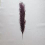 Pampas gras 130 cm donkerpaars kunstbloem