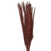 Clayre & Eef Droogbloemen Rood Droogbloemen