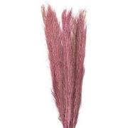 Clayre & Eef Droogbloemen Bruin Droogbloemen