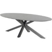 Xander Tuintafel Ovaal Antraciet
