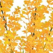 Sf art plant 40 cm ludwigia orange