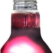 Arcadia Aquadistri infrarood warmtespot 75 watt