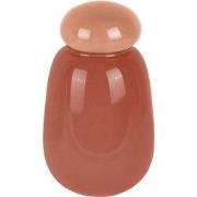 Present Time - Vaas Nuevo Dulce - Zachtroze