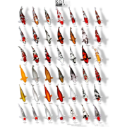 Koiposter nr.3 a4 gelamineerd Aquadistri