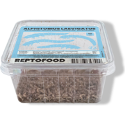 Buffalowormen bakje 50ml Reptofood