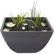 Mini Pond Square 55 x 55 cm