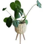 QUVIO Bloempot geweven op driepoot - S